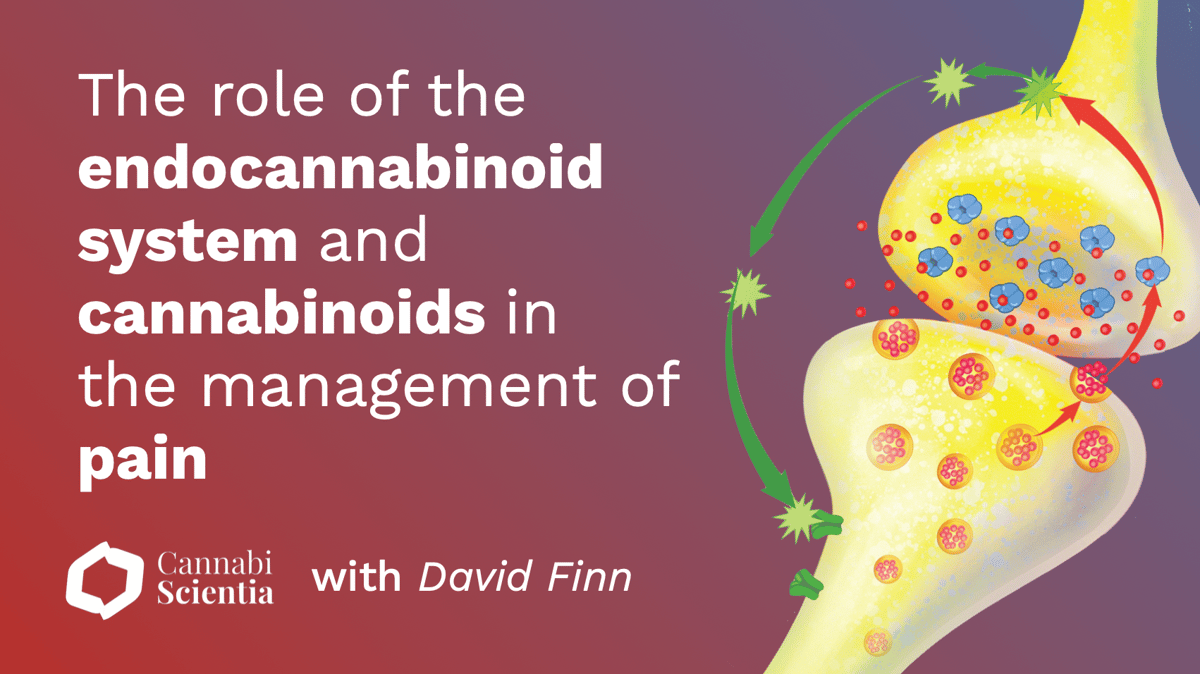 endocannabinoid system pain - Cannabiscientia